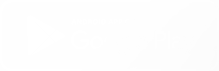 Tesla Robotaxi